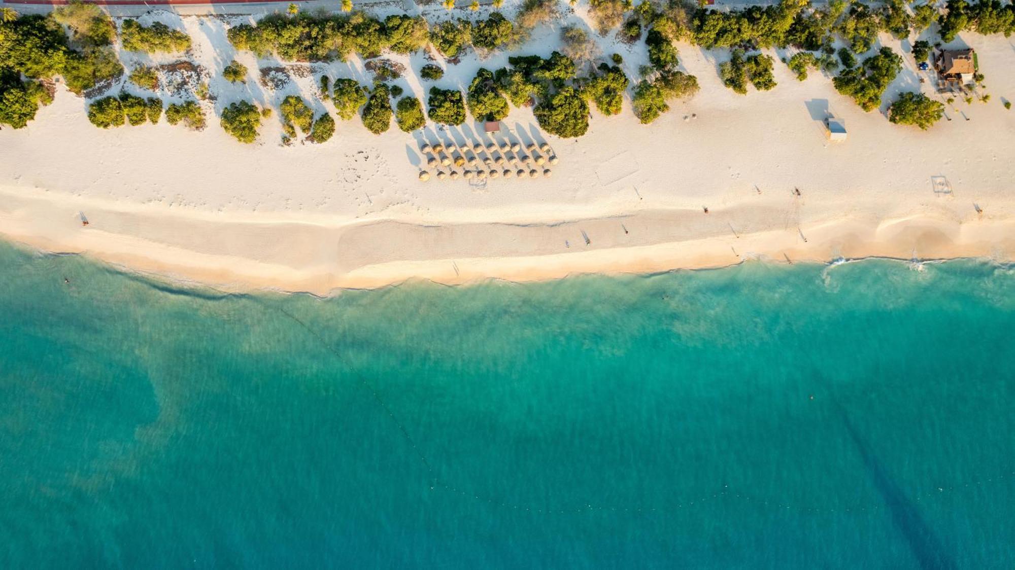 O Condominium Beachfront Residences, By Bocobay Aruba Palm Beach Buitenkant foto